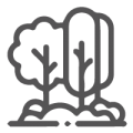ico-reserva